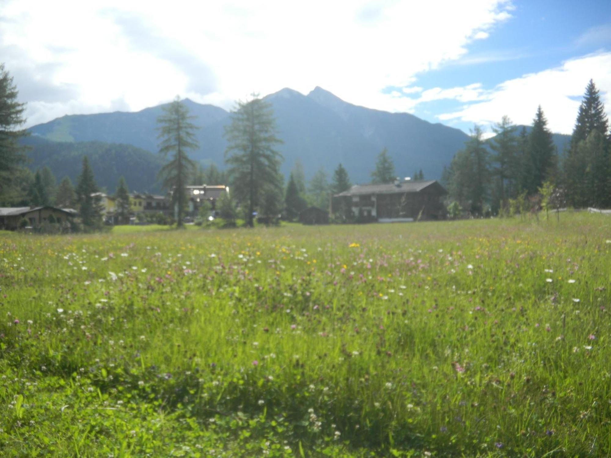Landhaus Charlotte Am Geigenbuehel -Apartments 제펠드 인 티롤 외부 사진