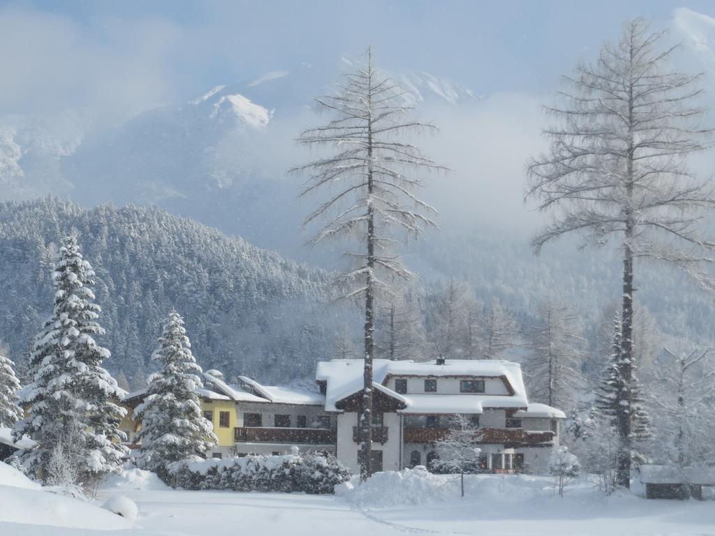 Landhaus Charlotte Am Geigenbuehel -Apartments 제펠드 인 티롤 외부 사진