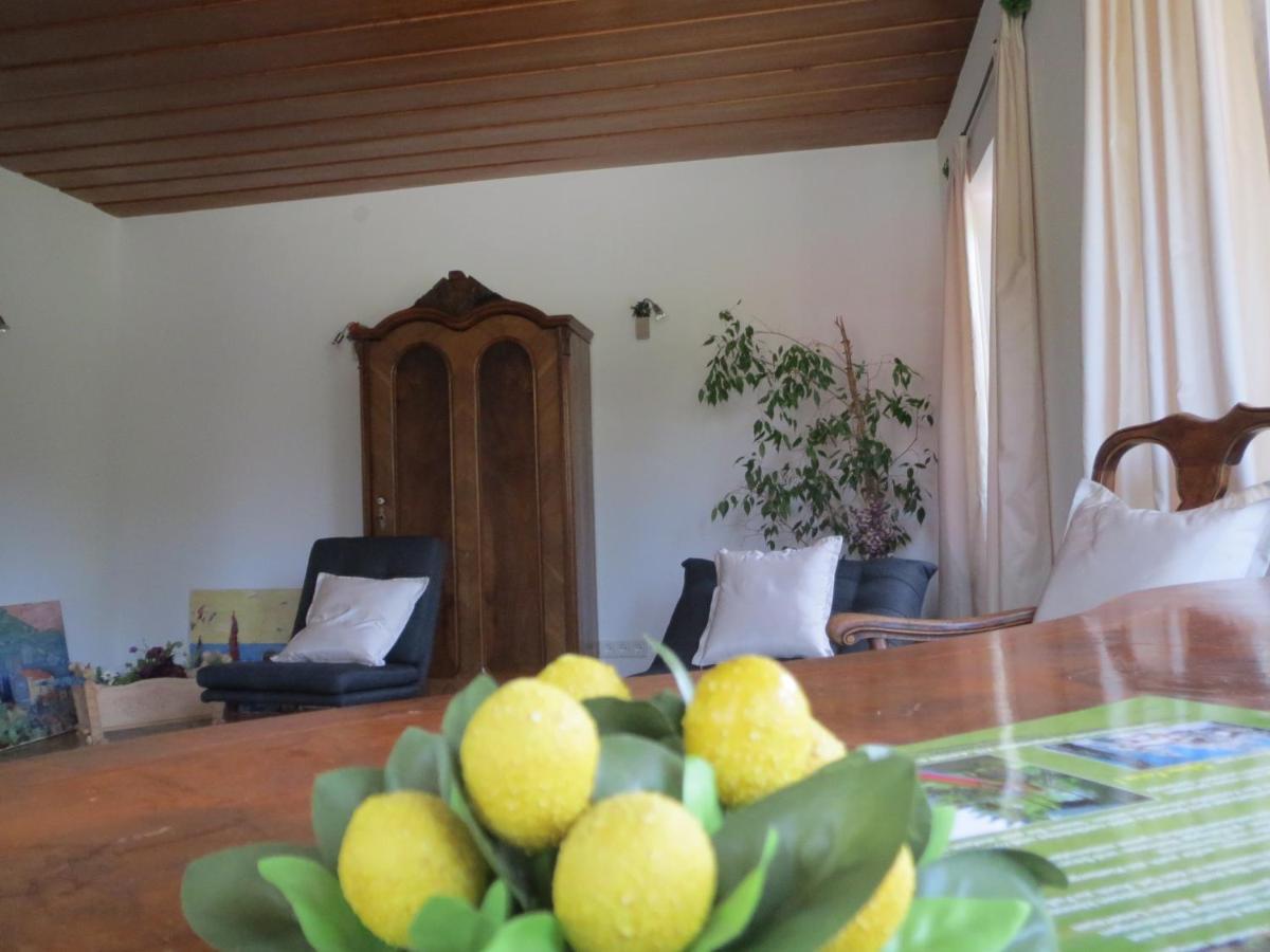Landhaus Charlotte Am Geigenbuehel -Apartments 제펠드 인 티롤 외부 사진